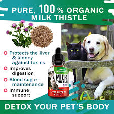 If you're looking for a better liver supplement for your dog, look no further. Amazon Com Liver Support Supplement For Dogs Cats Milk Thistle Liver Support Canine Hepatic Care Cat Dog Liver Cleanse Max Effect Liquid Drops Pet Supplies