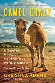 What is the secret of their courage? Camel Crazy A Quest For Miracles In The Mysterious World Of Camels Adams Christina Salatin Joel 9781608686483 Amazon Com Books