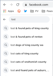 Attend the shelter in person visit us at 247 dartnall rd consider posting lost reports on kijiji, craigslist, facebook and local newspapers. How To Find A Lost Dog Resources Posters