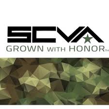 Shop' kleidung, hardware und mehr bei surfdome mit über 300 marken. America S Potcast Podcast Podtail