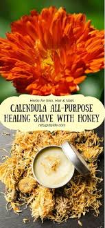 Pin On Gardening Quotes