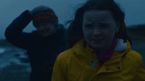 Devastation of Plastic Pollution Highlighted in Beautiful Poignant Film