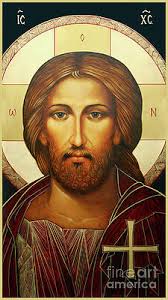 Ann Chapin Art for Sale