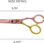 Shear Xpressions from prostylingtools.com