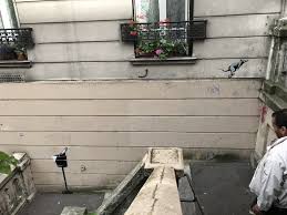 Banksy Hits Paris With Sharp Political Criticism And Several Mischievous Rats Updated Banksy Street Art