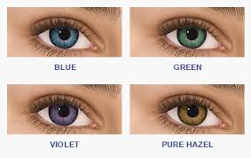 Buy Freshlook Colors Contact Lenses Online Ac Lens