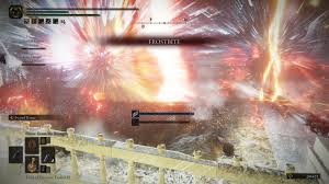 So when I was helping someone, we got invaded and then this happend. Can  someone explain this? : rEldenring