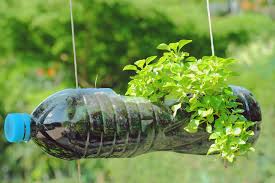 Como Reciclar Botellas De Plastico Para Una Vida Mas Eco Friendly Ingredientes Que Suman