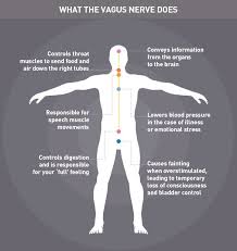 Vagus Nerve Stimulation Infographic Video Instructions