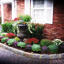 Mums And Cabbages Front Yard Landscaping Design Fall Plants Garden Mum