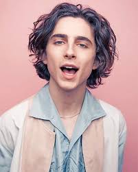 I drew timothee chalamet from memory (i.redd.it). Timothee Chalamet Photoshoot New Paint By Numbers Paint By Numbers For Adult