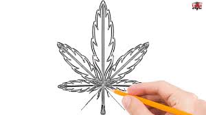 See more ideas about easy drawings, drawings, cool easy drawings. How To Draw A Weed Leaf Step By Step Easy For Beginners Kids Simple Leaves Drawing Tutorial Youtube