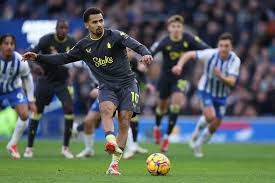 Ndiaye Indispensable for Everton