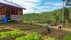 Pt anugerah, artinya perusahaan yang diharapkan diberikan karunia serta diberi keberkahan. Rlu Dan Idh Memberdayakan Masyarakat Di Sekitar Kawasan Hutan Kabupaten Tebo Warta Cika