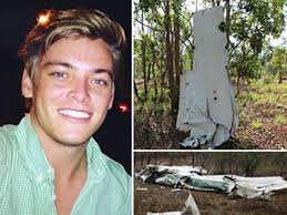 Wings ripped from plane