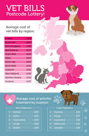 Vet Bills Can Vary By Over 400 For Identical Treatments Depending On Where You Live