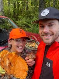 Will eating a boiled cinnamon fern cause nausea?