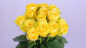 Goodtimes Flower