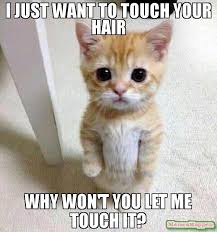 I Just Want To Touch Your Hair Meme Memeshappen