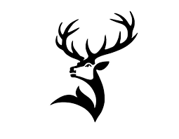 Pin On Cricut