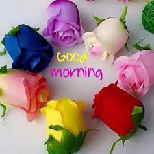 good morning photo के लिए इमेज परिणाम