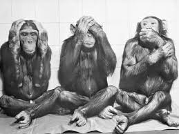 Three Monkeys Hear No Evil See No Evil Speak No Evil Hear No Evil See No Evil Speak No Evil Photographic Print Art Com In 2020 Monkey Art See No Evil Three Wise Monkeys