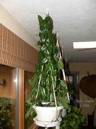 We did not find results for: Difference Between Krimson Queen And Princess