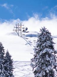We have chosen some of the best spots around the region with streaming views of what mark twain called, the on the south shore, you'll be amazed by the expansive views from the top of the sierra at tahoe as well as all of the action in stateline, nevada. Sierra At Tahoe Resort Live Cam Snow Reports Ski Cams Usa