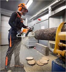 Welcome at stihl's virtual factory tour. Pin On Chain Saw