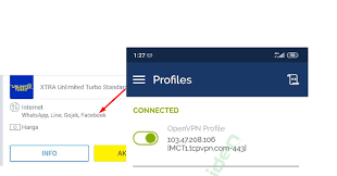 Di hari selanjutnya untuk dapat. Config Openvpn Xl Turbo Woiden