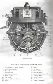 Image result for Gyrodoma hispida