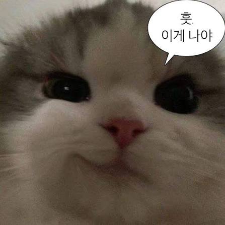 36개의 짤 아이디어 | 귀여운 말장난, 동물 말장난, 귀여운 동물 밈