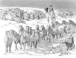 Future Of The Herd Horse Coloring Horse Coloring Pages Horse Art