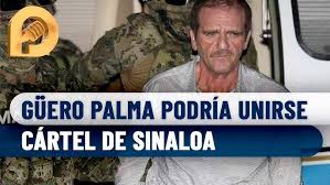 Pertenecen al cartel de sinaloa, uno de los más poderosos. Guero Palma Se Pudiera Unir Al Cartel De Sinaloa Caro Quintero Esta Con El Mencho Youtube