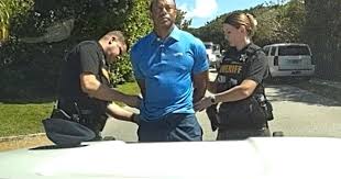 After crash, Tiger Woods told deputy he was 'talking to the president,' body  camera shows | National News | wdrb.com