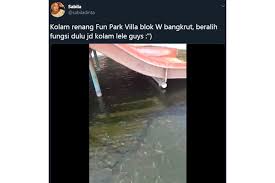 Viral Video Kolam Renang Di Bogor Dijadikan Tempat Untuk Ternak Lele Halaman All Kompas Com