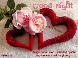 Good Night Image With Red Heart And Red Rose With Masage Jpg 1024 768 Flowers Good Night Image Rose