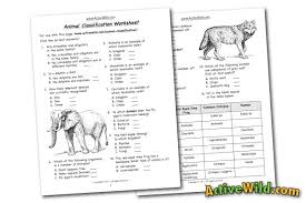 Animal classification worksheets and anchor charts. Animal Classification Worksheet