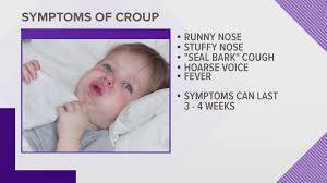Image result for Croup