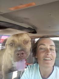 Apollo loves his daddy Andrew Delsette