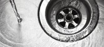 Shower drains can accumulate their fair share of organic matter. How To Get Rid Of And Prevent Drain Flies