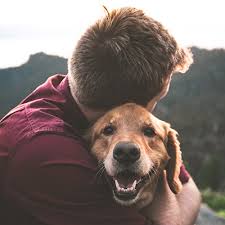 Where to train a dog in newtown ct? Danbury Animal Welfare Society