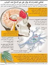 تعاطي المخدّرات يشير إلى استخدامٍ غير قادر على التأقلم على نمط من المادّة المخدرة والتي يقوم المُستخدِم بإستهلاك هذه المادّة بكميّات أو مع أساليب لا تتغاضى عنه أصحاب المهن الطبية، ولا يقتصر تعاطي المخدرات أو الأدوية النفسيّة والمنشطة إلى تغيير المزاج، كما. Ø¬Ø±ÙŠØ¯Ø© Ø§Ù„Ø±ÙŠØ§Ø¶ Ø®Ø·Ø± ØªØ¹Ø§Ø·ÙŠ Ø§Ù„Ù…Ø®Ø¯Ø±Ø§Øª Ø¹Ù†Ø¯ Ø§Ù„Ø´Ø¨Ø§Ø¨