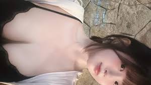 kawalab_net에 대한 이미지 검색결과