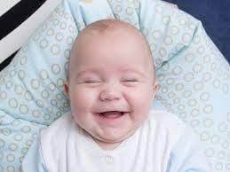 Warum Wir Lachen Was Humor Mit Fellpflege Zu Tun Hat