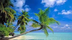 Image result for hainan island