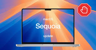 images?q=tbn:ANd9GcTZaPL5T5A3sNg6HGfCqUD