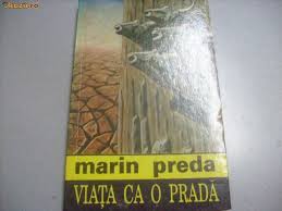 Marin Preda