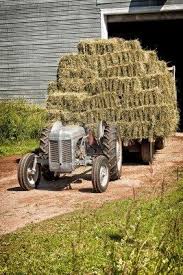 Myron Mann (myronwmann)