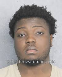 Vincent, Stravinsky GRAND THEFT >$20,000 <$100,000 Bail: $0.00 GRAND THEFT  >$20,000 <$100,000 Bail: $0.00 GRAND THEFT >$20,000 <$100,000 Bail: $0.00  GRAND THEFT >$20,000 <$100,000 Bail: $0.00 GRAND THEFT >$20,000 <$100,000  Bail: $0.00